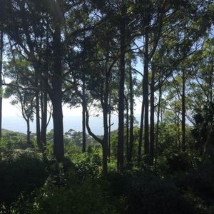 Meet your Posher, Zelda